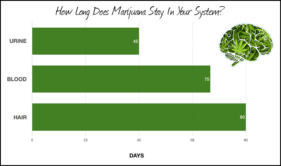 how long does thc stay in your system