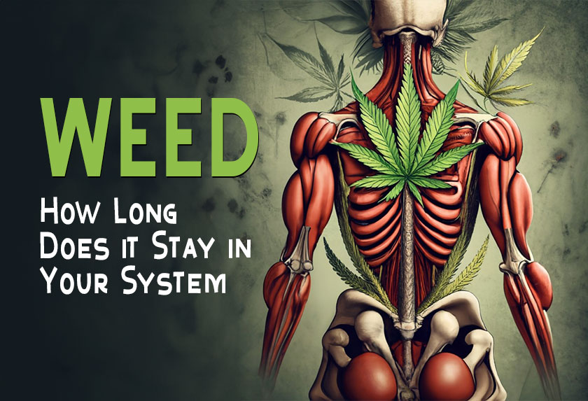 how long does weed stay in your blood stream