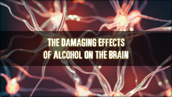 effects of alcohol on the brain