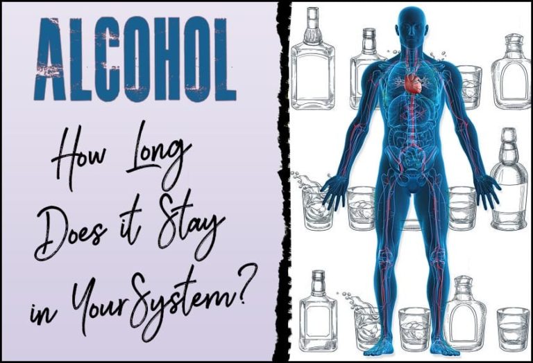 How Long Does Alcohol Stay in Your Urine / System ? (The Truth)