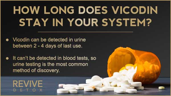 how long does vicodin stay in your system