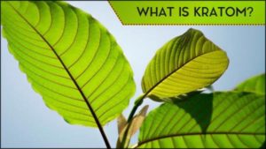 what is kratom