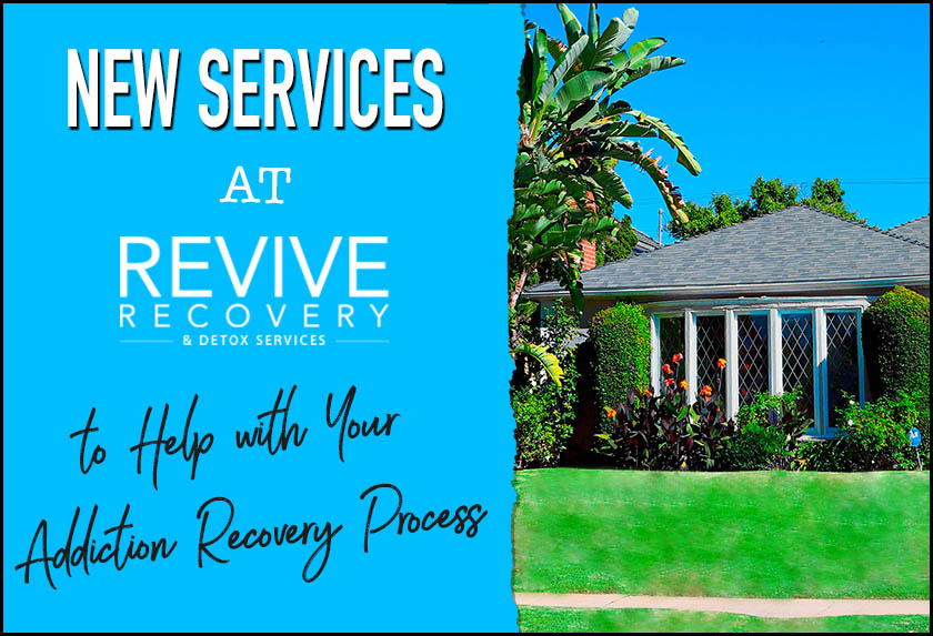 revive recovery detox