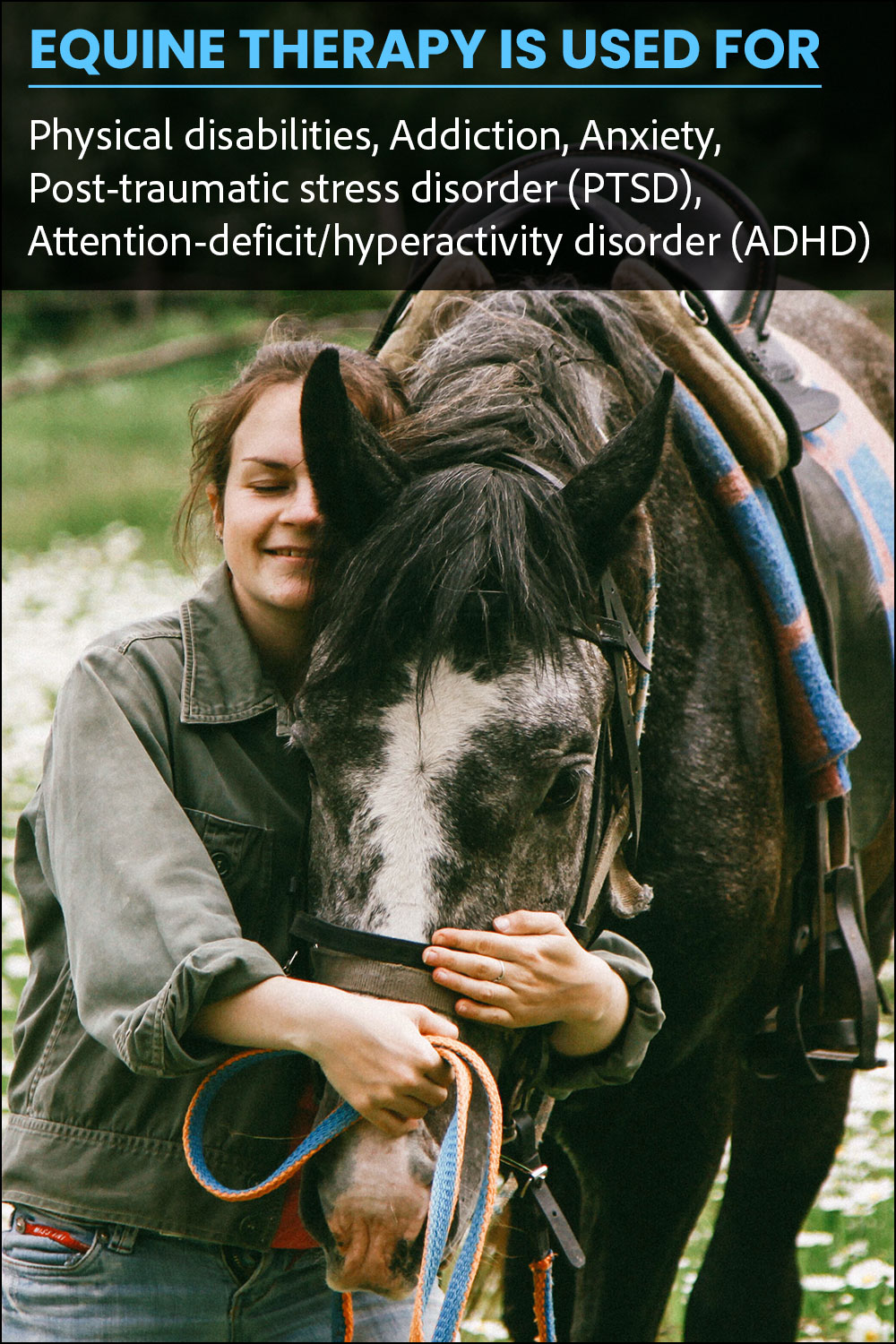 equine assisted therapy