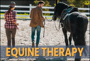 equine therapy