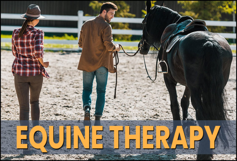 Equine Therapy The Therapeutic Benefits of Horses Revive Detox