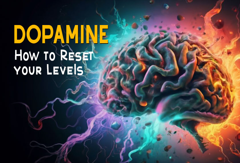 how to reset dopamine levels