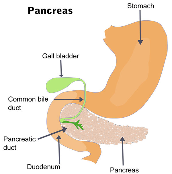 Pancreatic Atrophy